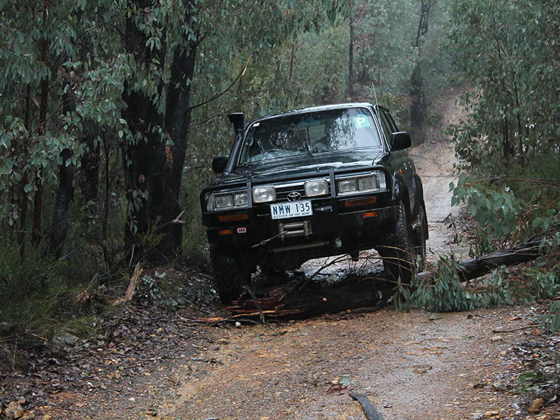 4Wd: 4wd In Snow