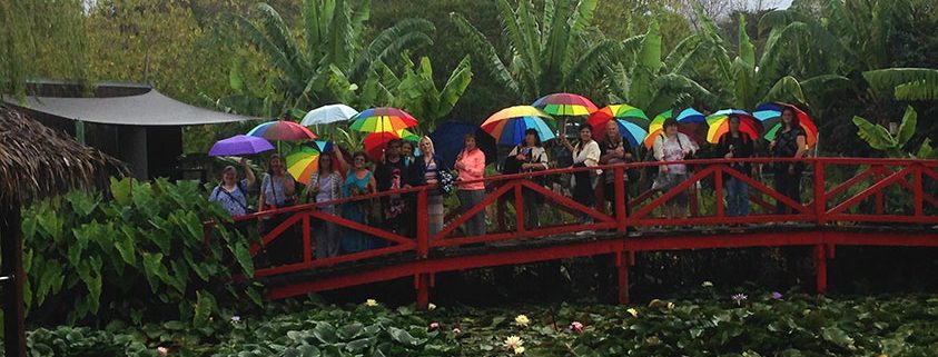 Mums at the Blue Lotus Gardens